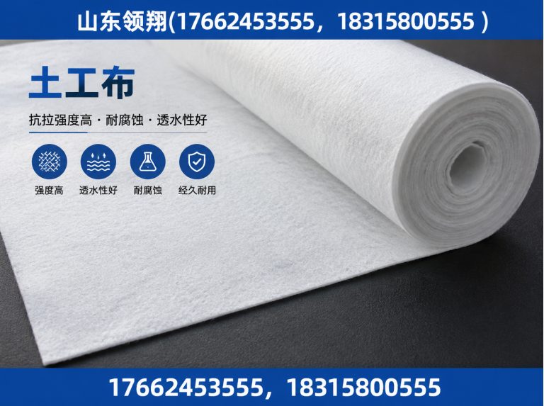 连云港土工格栅展示图